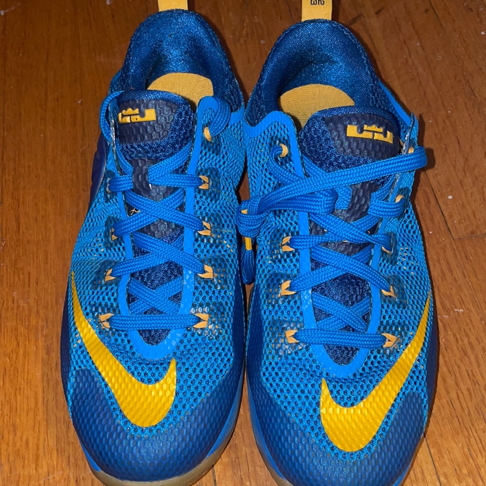 LeBron Basketball shoes